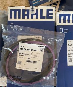 DAF XF Euro 5 Cylinder Piston Rings 213RS100100N0 213LW00100001