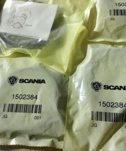 SCANIA Sealing Ring 1502384 393331 1386594 1383129 1380160 1300974